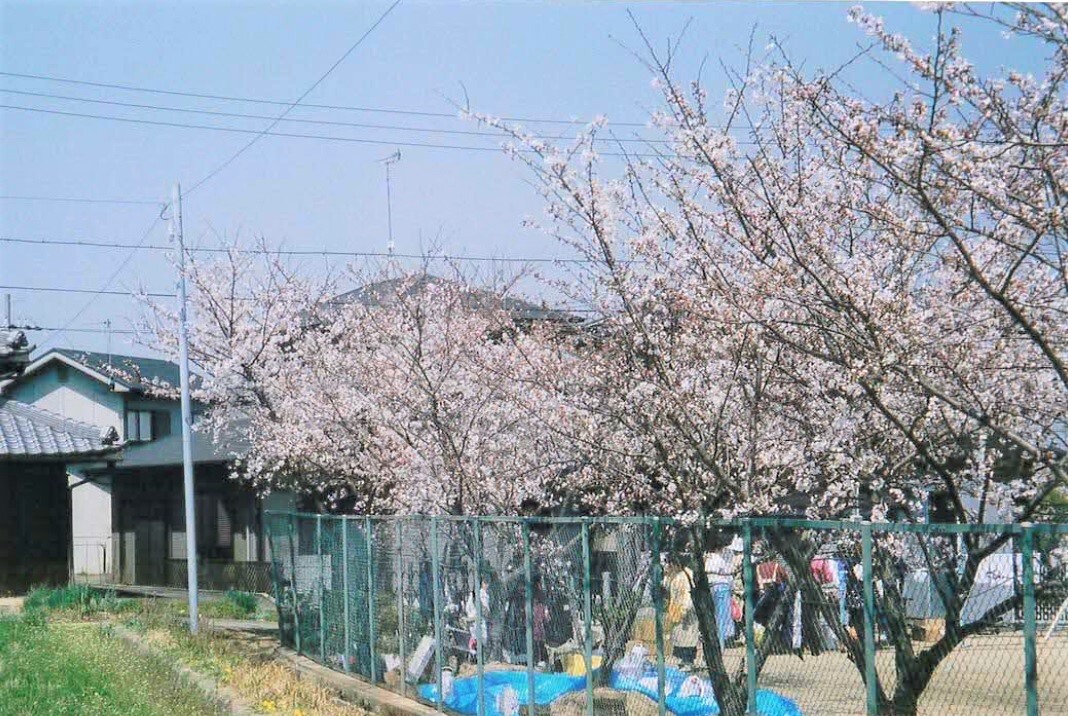 蛸草高薗自治会のお花見会の様子の画像